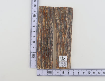 Natural mammoth bark scales