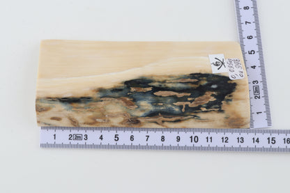 White-blue mammoth bark