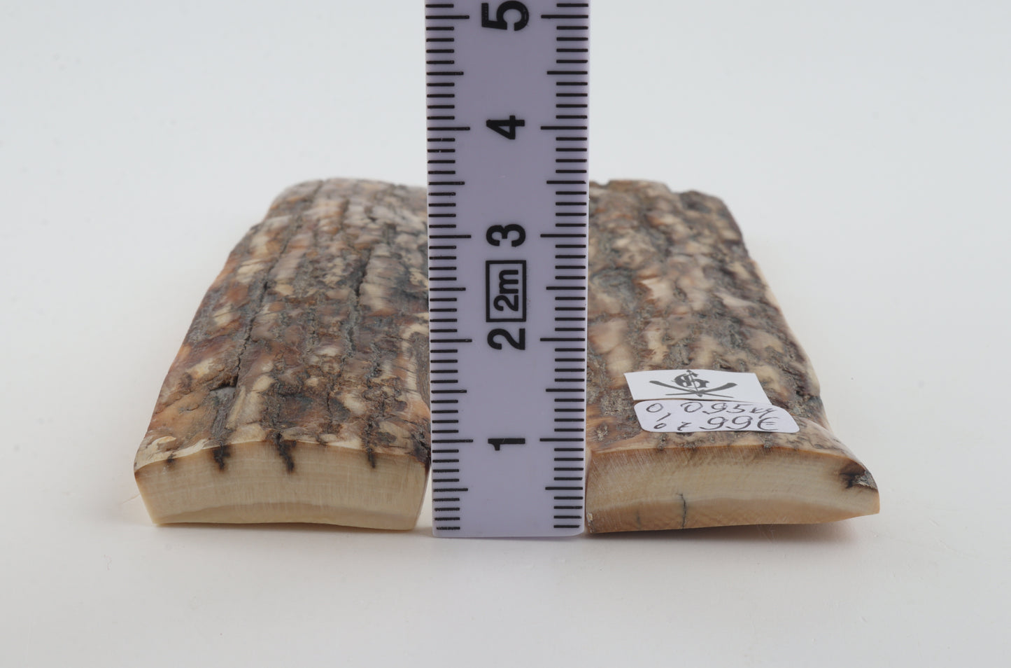 Natural mammoth bark scales