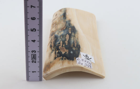 White-blue mammoth bark