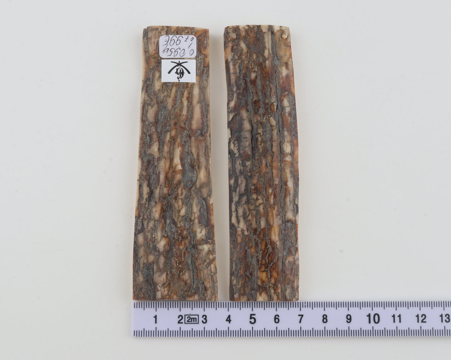 Natural mammoth bark scales