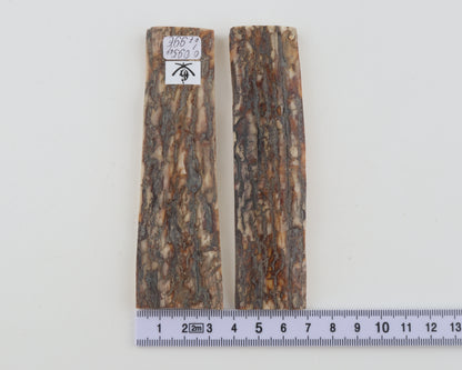 Natural mammoth bark scales