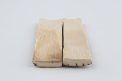 Natural mammoth bark scales