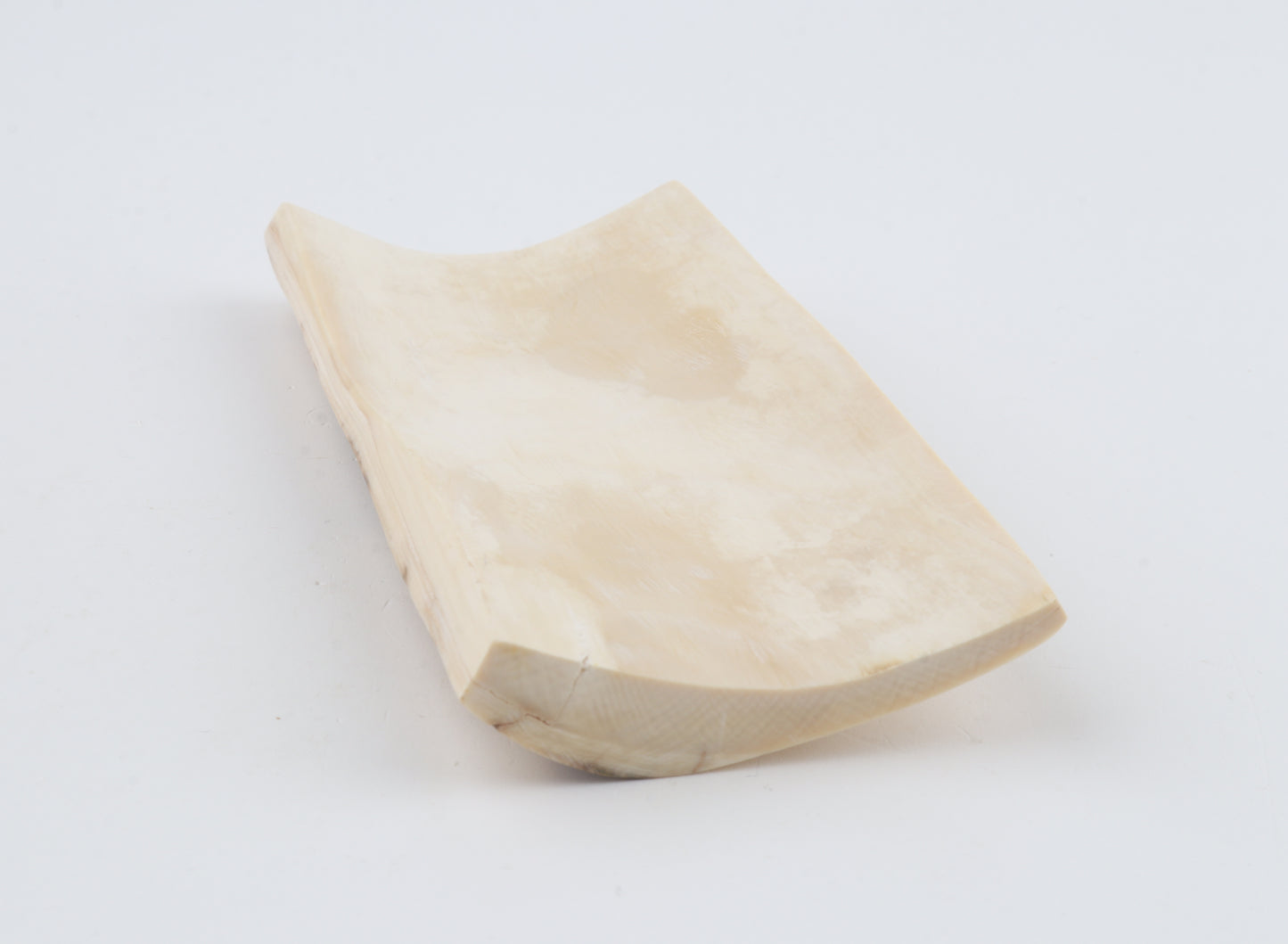 White-blue mammoth bark