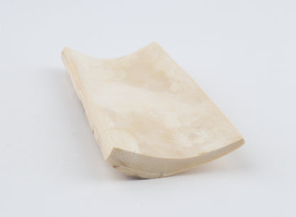 White-blue mammoth bark