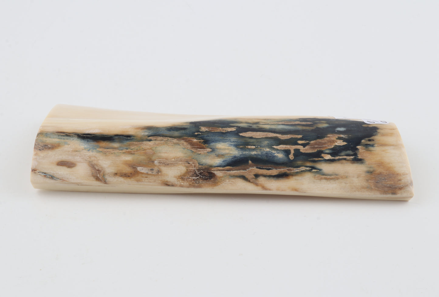 White-blue mammoth bark