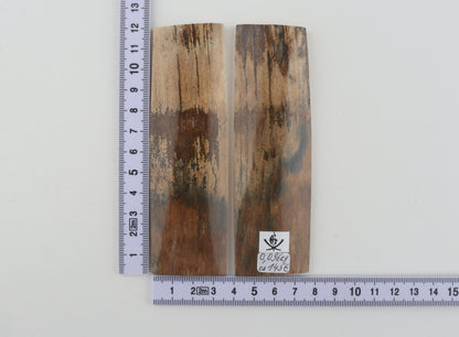 Natural mammoth bark scales