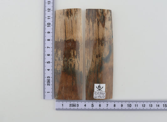 Natural mammoth bark scales