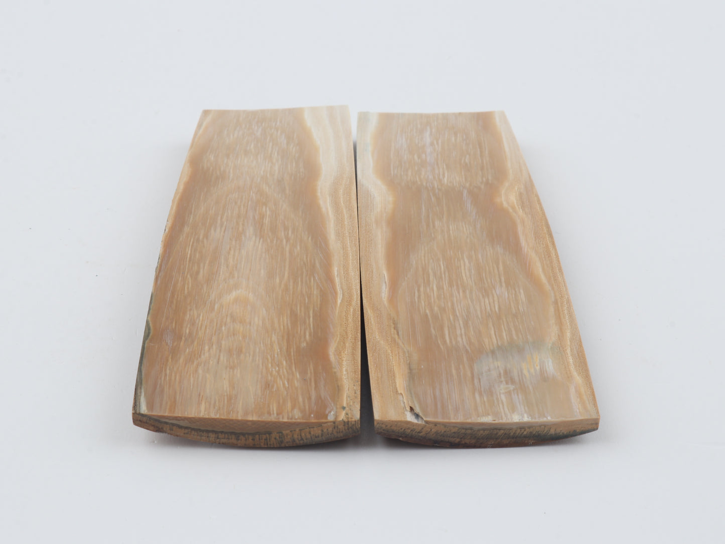 Natural mammoth bark scales