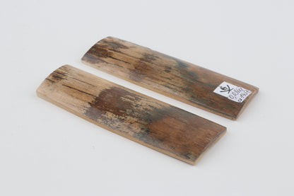 Natural mammoth bark scales
