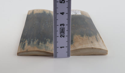 Natural mammoth bark scales