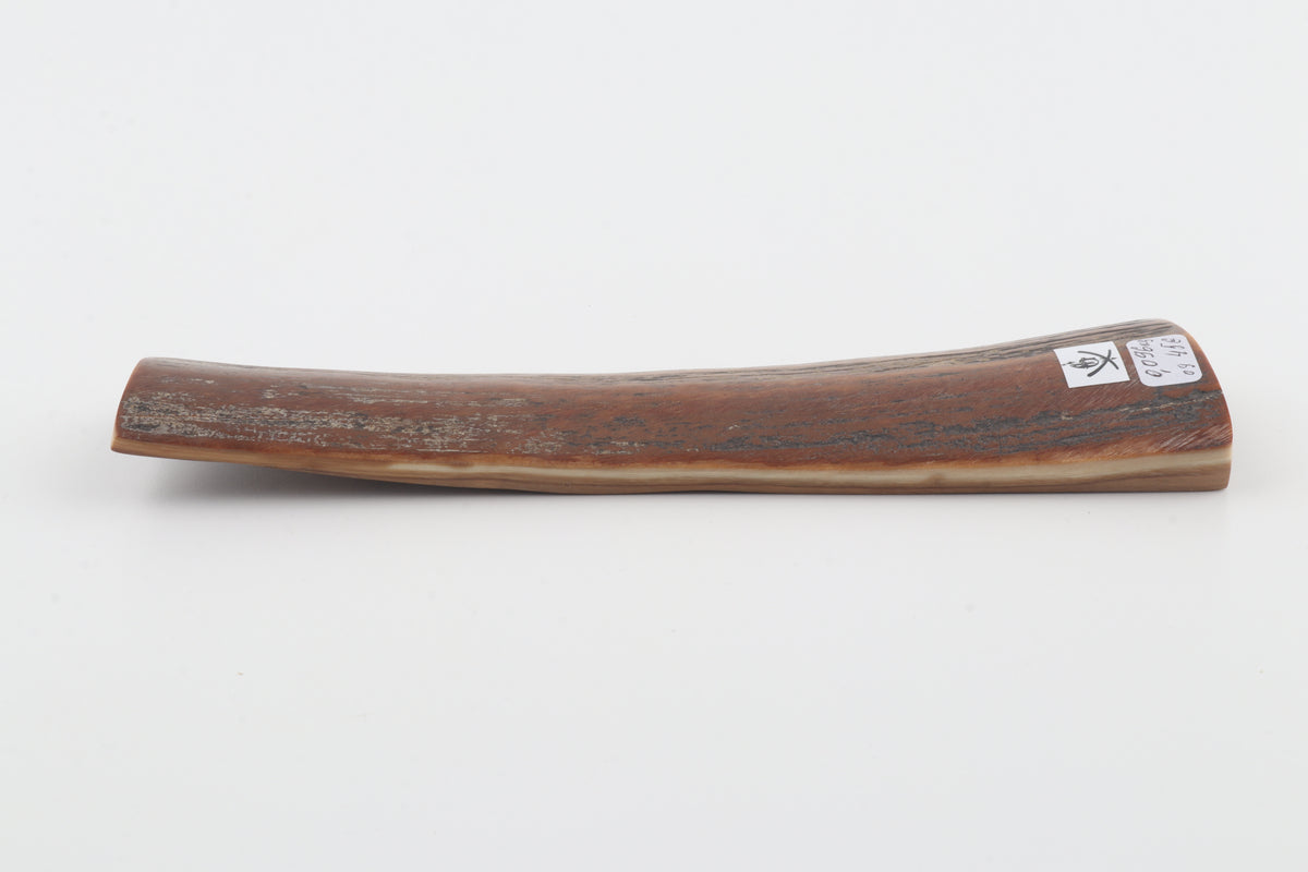 Brown mammoth bark