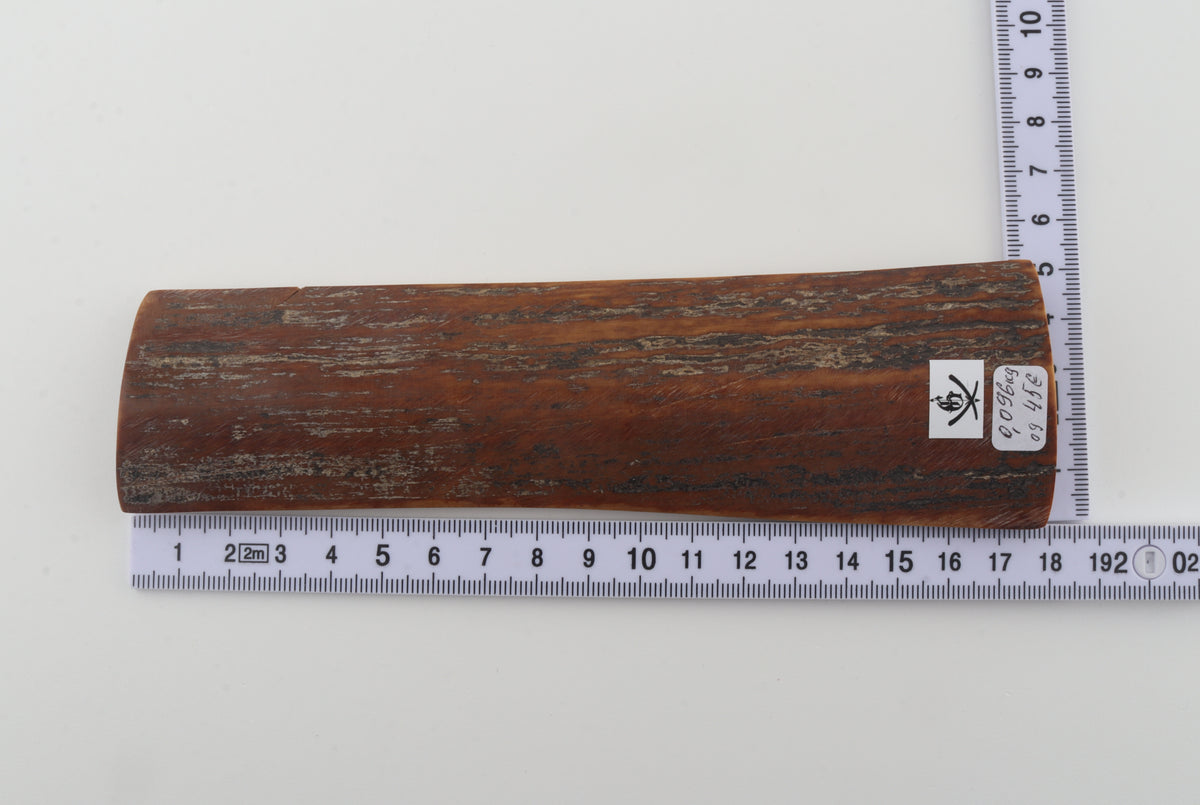 Brown mammoth bark