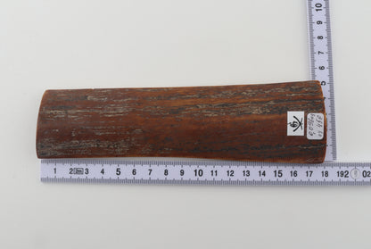 Brown mammoth bark