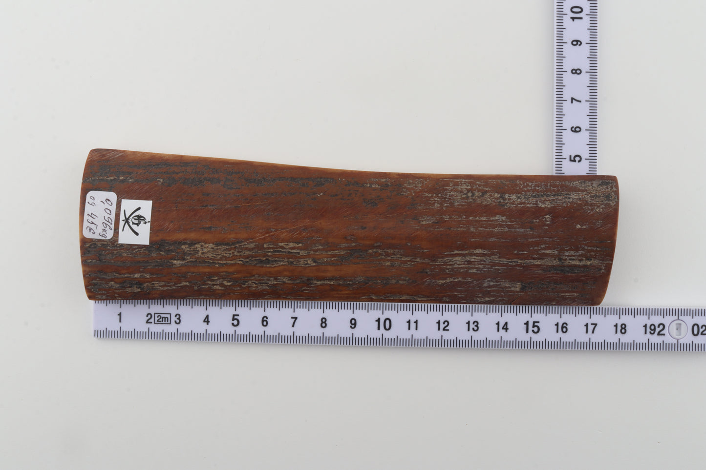 Brown mammoth bark