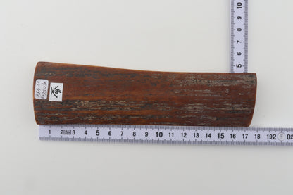Brown mammoth bark
