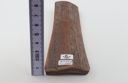 Brown mammoth bark