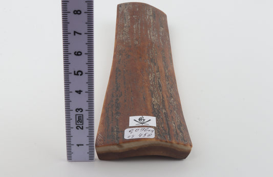 Brown mammoth bark