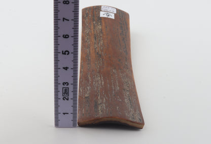 Brown mammoth bark