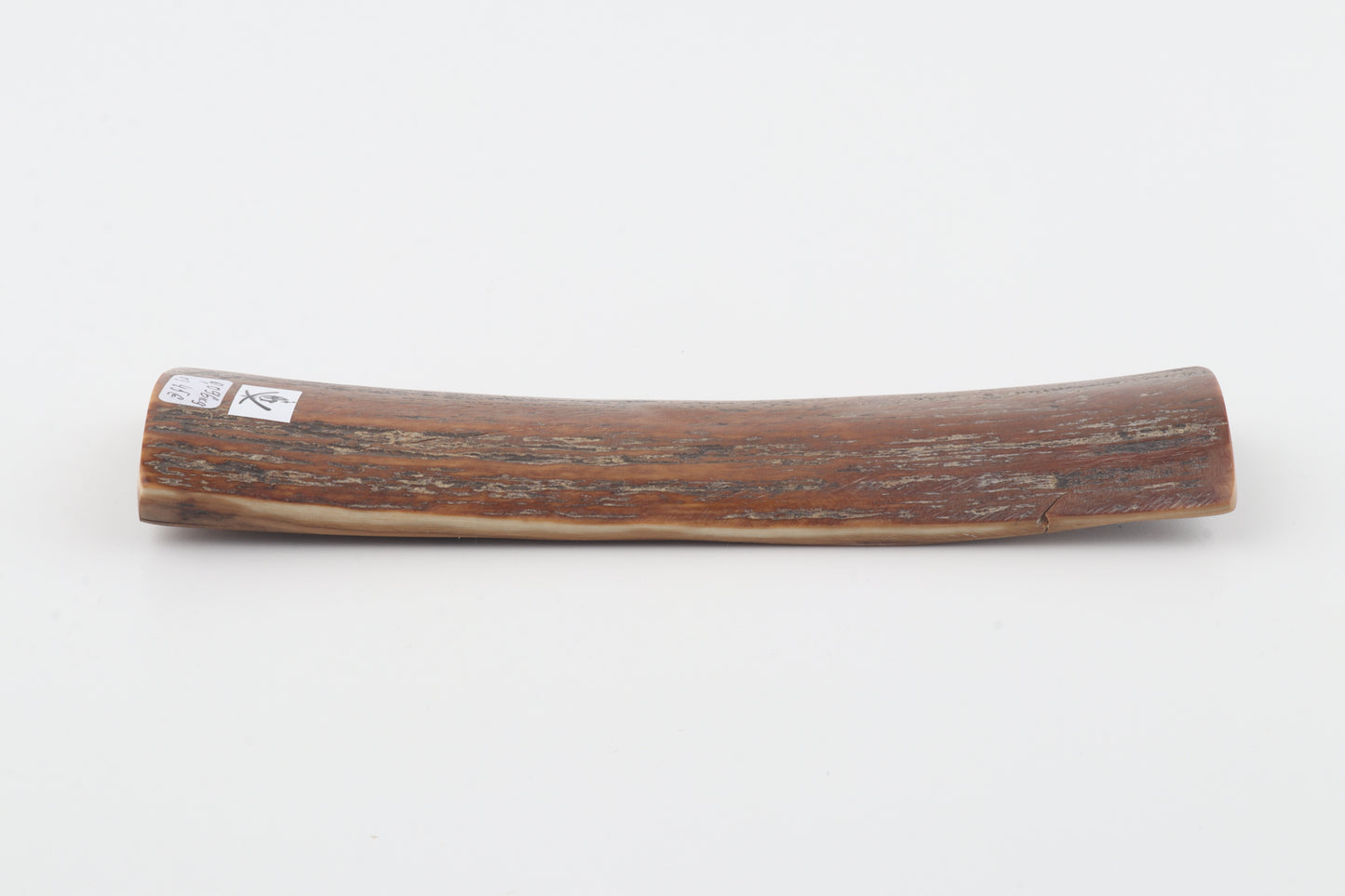 Brown mammoth bark