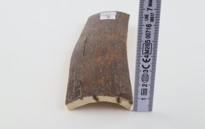 Brown mammoth bark