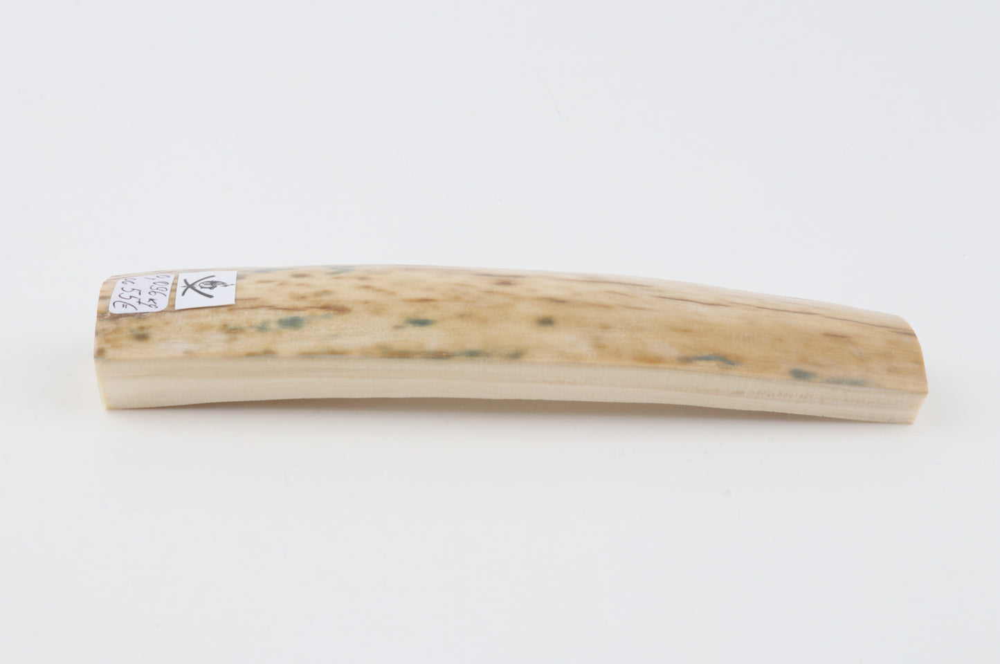 Creme-white mammoth bark