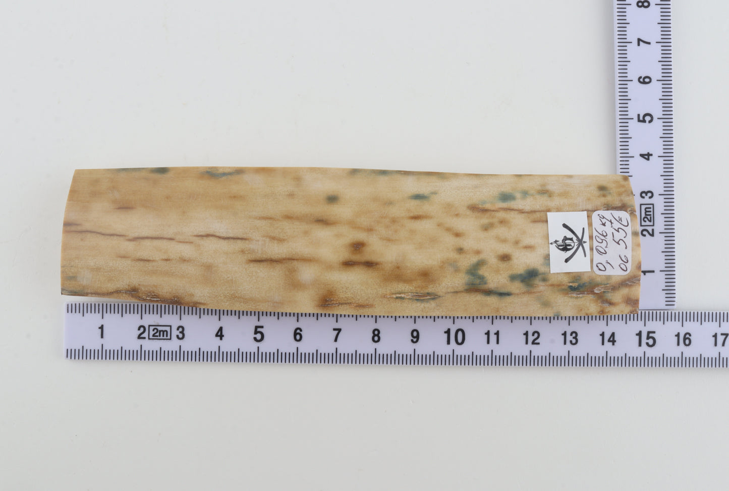Creme-white mammoth bark