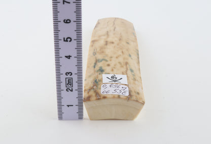Creme-white mammoth bark