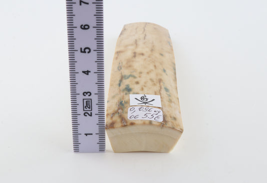 Creme-white mammoth bark