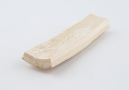 Creme-white mammoth bark