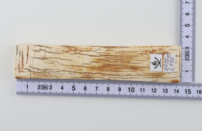 White-orange mammoth bark