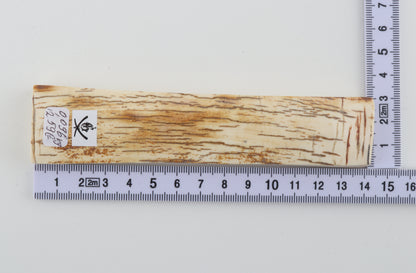 White-orange mammoth bark