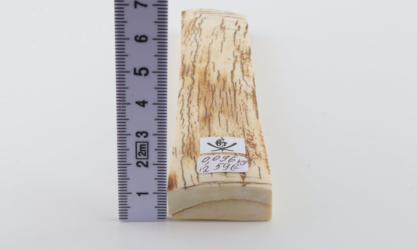 White-orange mammoth bark