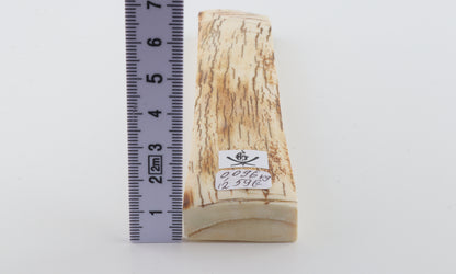 White-orange mammoth bark