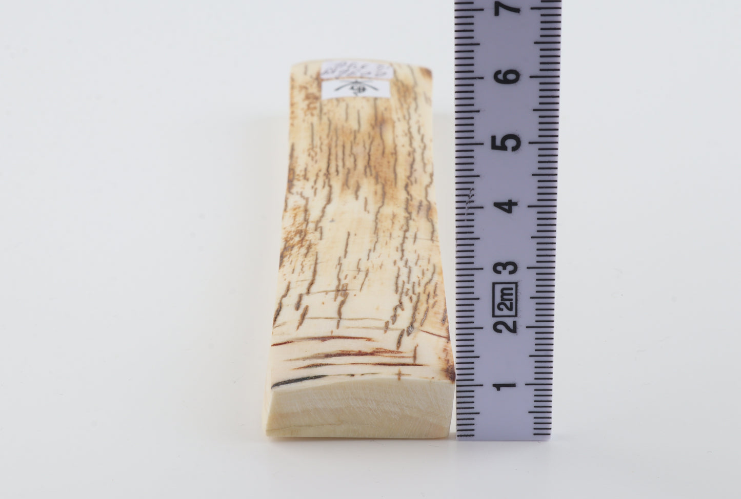 White-orange mammoth bark