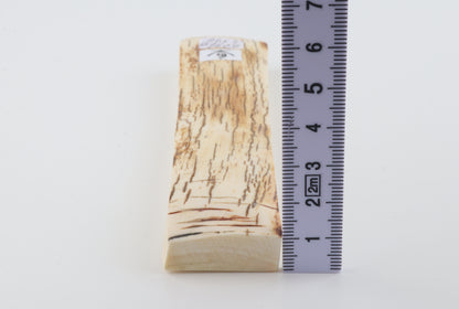 White-orange mammoth bark