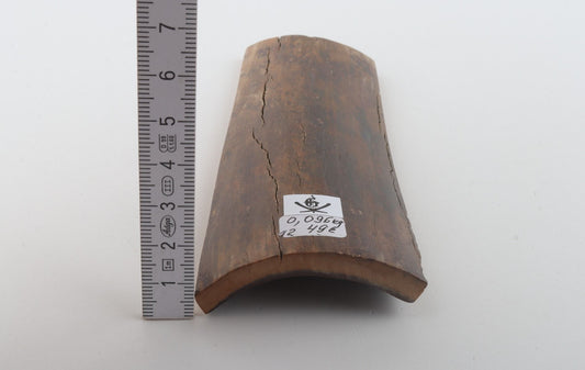 Brown mammoth bark