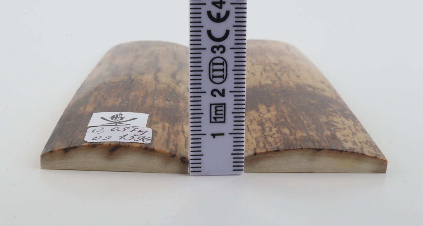 Natural mammoth bark scales