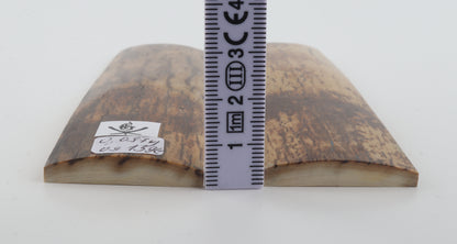 Natural mammoth bark scales