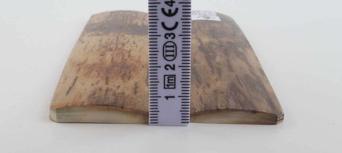 Natural mammoth bark scales