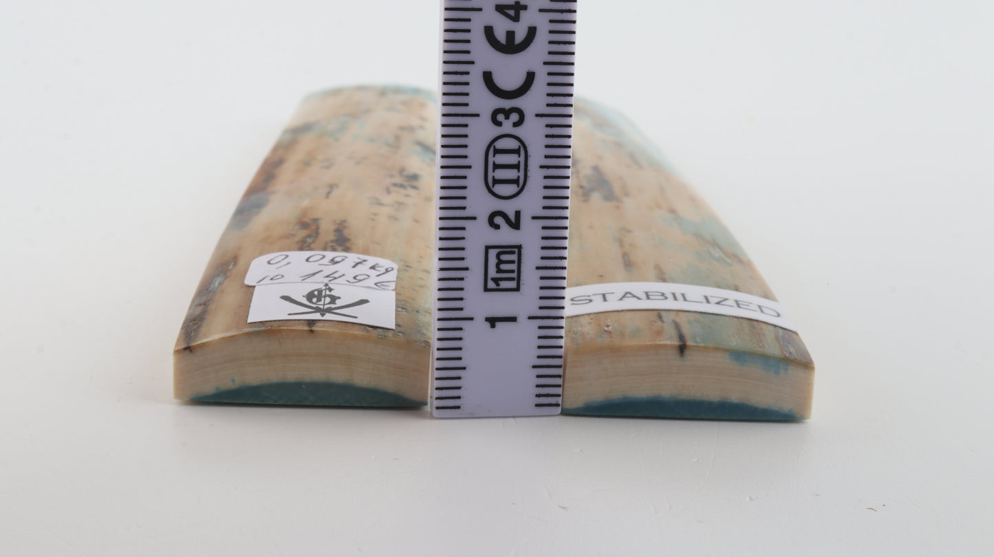 Stabilised mammoth bark scales