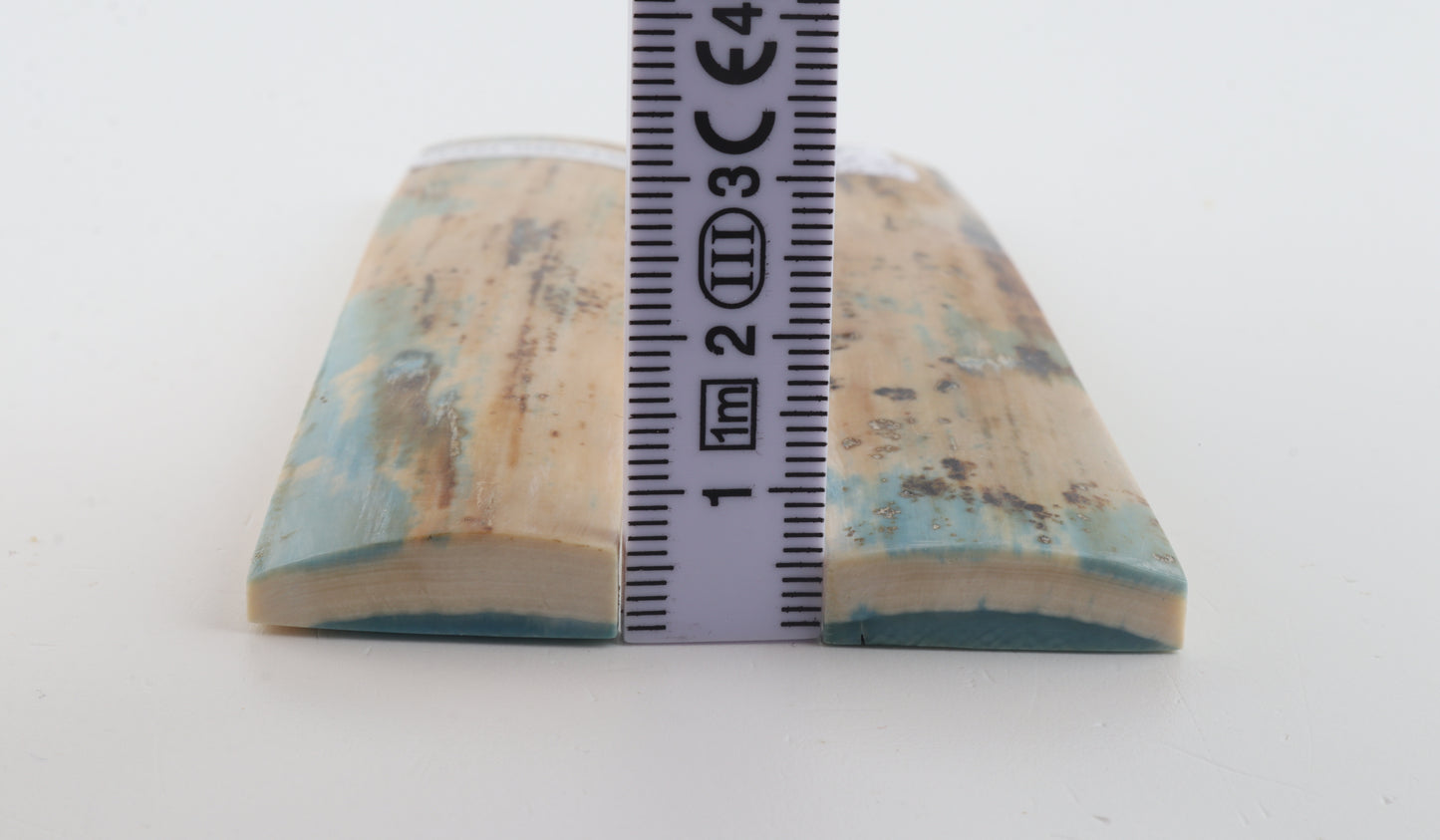 Stabilised mammoth bark scales