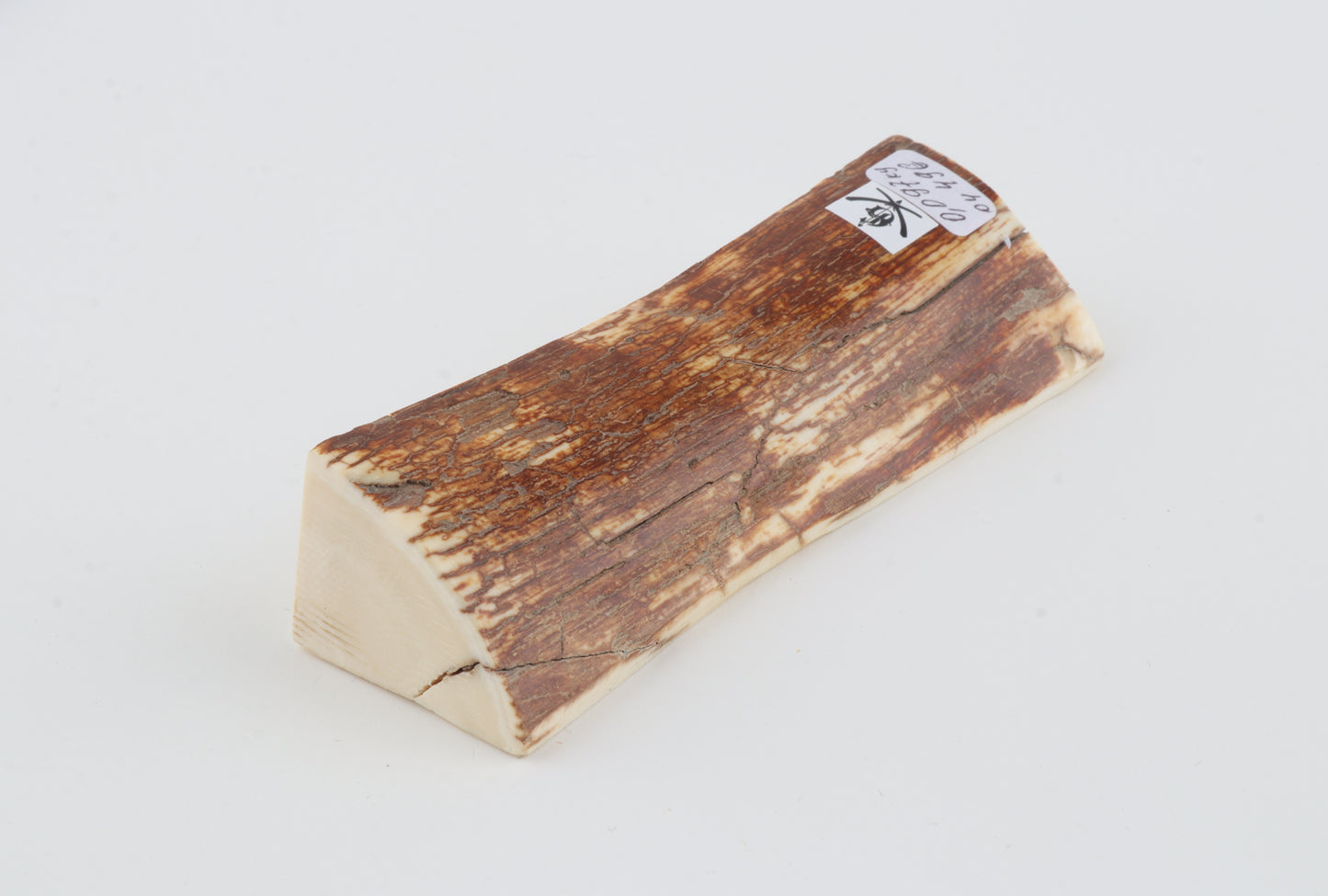 Natural mammoth ivory piece