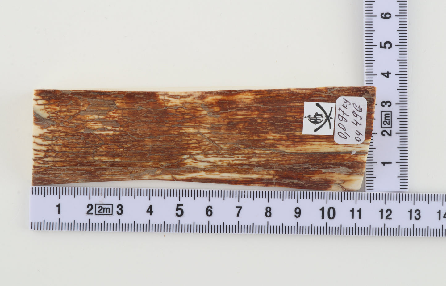 Natural mammoth ivory piece