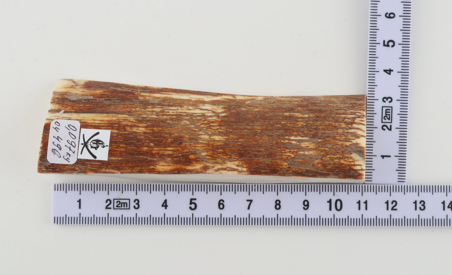 Natural mammoth ivory piece