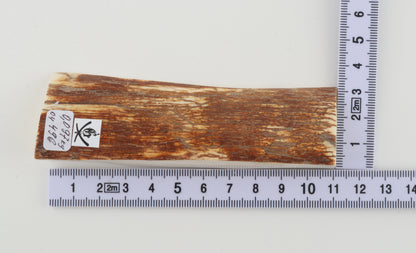 Natural mammoth ivory piece