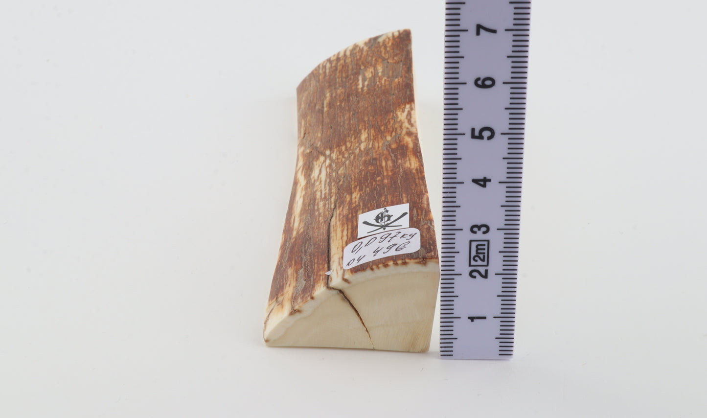 Natural mammoth ivory piece