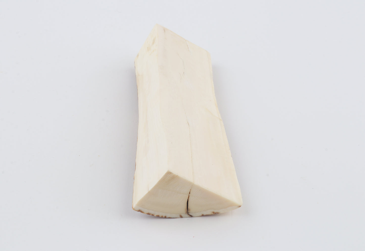 Natural mammoth ivory piece
