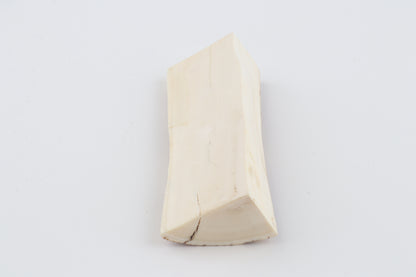 Natural mammoth ivory piece