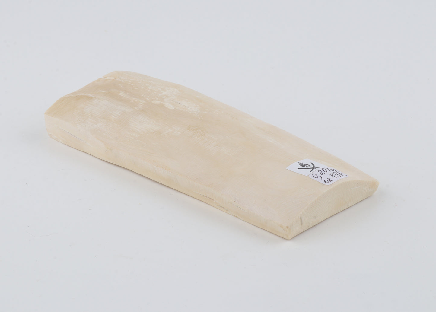 White mammoth ivory piece